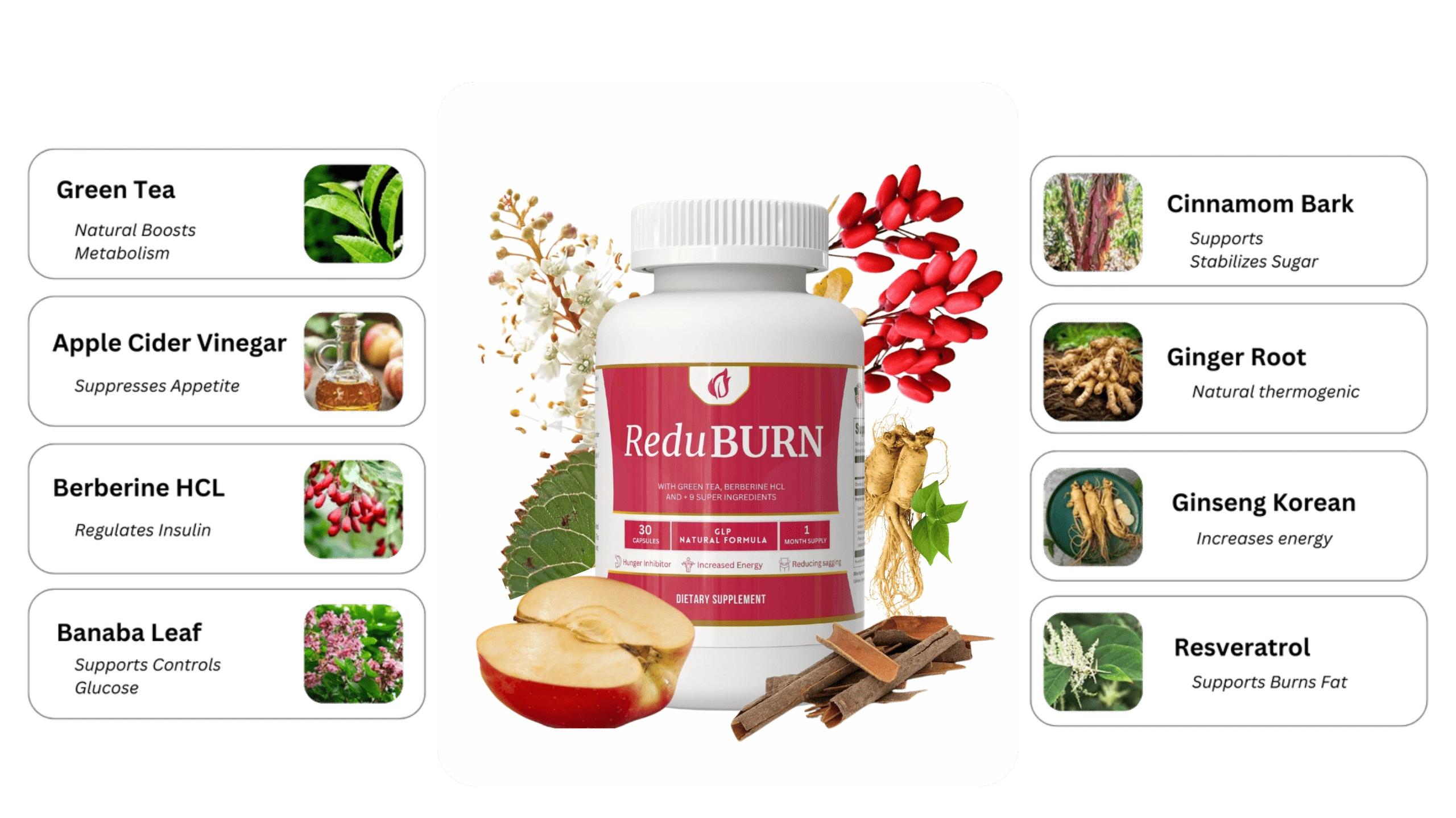 ReduBurn Antioxidant Metabolic Support